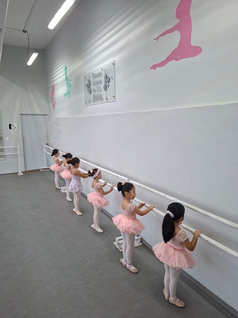 Estudiantes de la Escuela Beatriz Abreu Cátedra de Danza